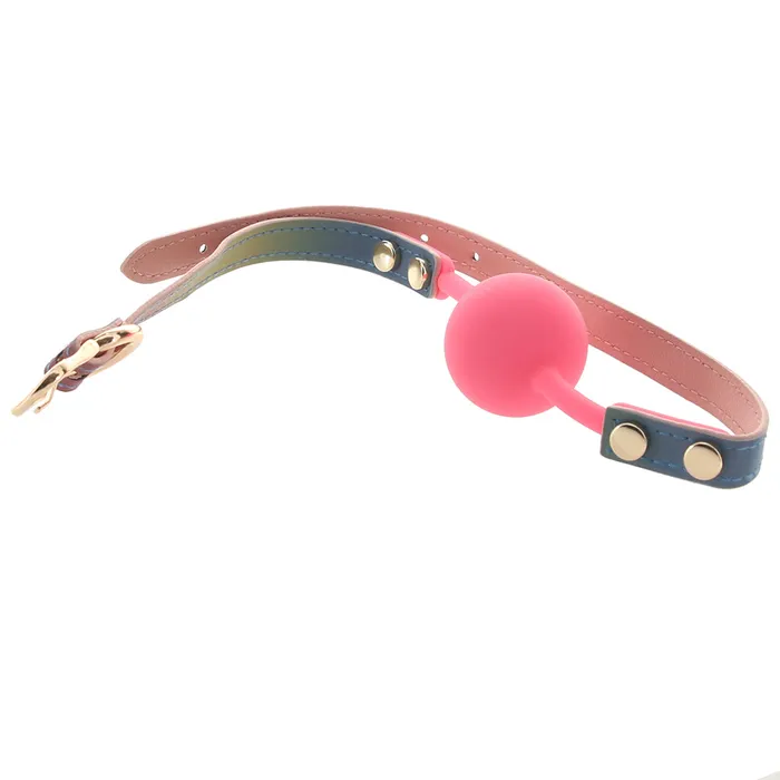 Spectra Bondage Ball Gag in Rainbow ns novelties Couples Spectra Bondage Ball Gag in Rainbow ns novelties Couples
