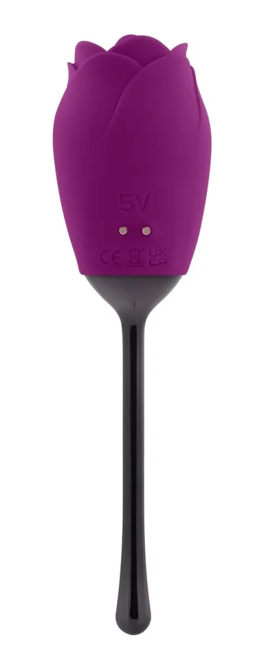 Playboy Petal Vibrator Plum Female Sex Toys Playboy Petal Vibrator Plum Female Sex Toys
