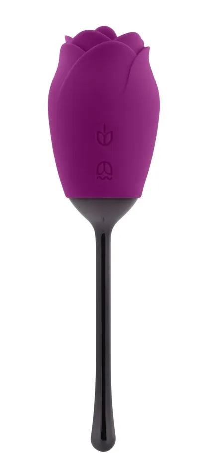 Playboy Petal Vibrator Plum Female Sex Toys Playboy Petal Vibrator Plum Female Sex Toys