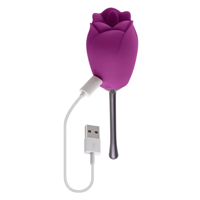 Playboy Petal Vibrator Plum Female Sex Toys Playboy Petal Vibrator Plum Female Sex Toys